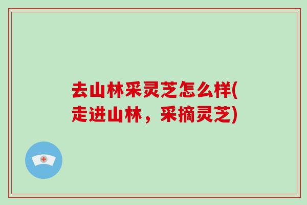 去山林采灵芝怎么样(走进山林,采摘灵芝)-第1张图片-破壁灵芝孢子粉研究指南 去山林采灵芝怎么样(走进山林,采摘灵芝)-第1张图片-破壁灵芝孢子粉研究指南