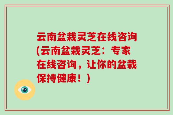 云南盆栽灵芝在线咨询(云南盆栽灵芝:专家在线咨询,让你的盆栽保持健康!)-第1张图片-破壁灵芝孢子粉研究指南 云南盆栽灵芝在线咨询(云南盆栽灵芝:专家在线咨询,让你的盆栽保持健康!)-第1张图片-破壁灵芝孢子粉研究指南