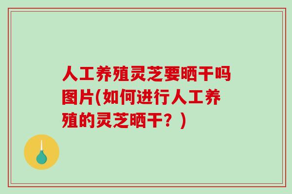 人工养殖灵芝要晒干吗图片(如何进行人工养殖的灵芝晒干?)-第1张图片-破壁灵芝孢子粉研究指南 人工养殖灵芝要晒干吗图片(如何进行人工养殖的灵芝晒干?)-第1张图片-破壁灵芝孢子粉研究指南