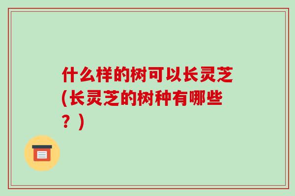 什么样的树可以长灵芝(长灵芝的树种有哪些?)-第1张图片-破壁灵芝孢子粉研究指南 什么样的树可以长灵芝(长灵芝的树种有哪些?)-第1张图片-破壁灵芝孢子粉研究指南