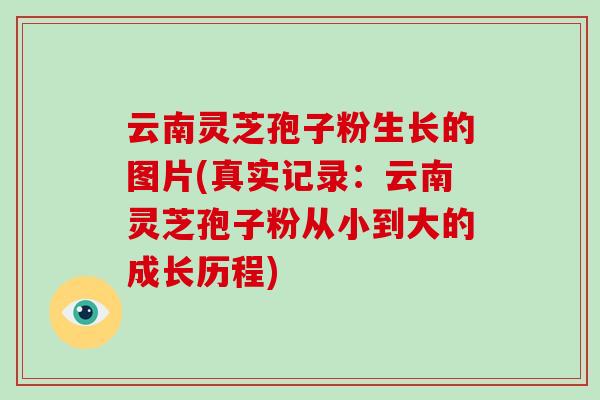 云南灵芝孢子粉生长的图片(真实记录:云南灵芝孢子粉从小到大的成长历程)-第1张图片-破壁灵芝孢子粉研究指南 云南灵芝孢子粉生长的图片(真实记录:云南灵芝孢子粉从小到大的成长历程)-第1张图片-破壁灵芝孢子粉研究指南