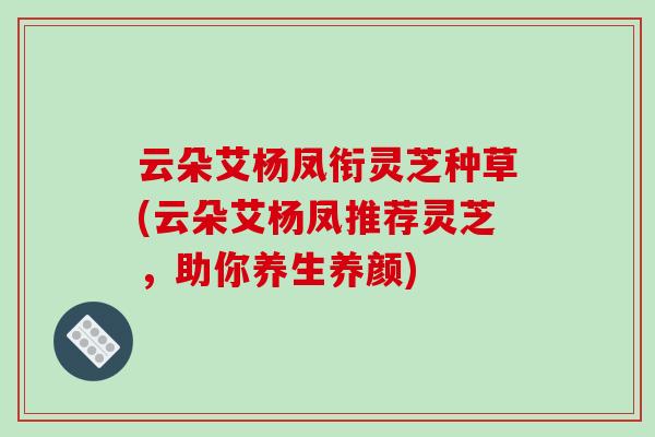 云朵艾杨凤衔灵芝种草(云朵艾杨凤推荐灵芝,助你养生养颜)-第1张图片-破壁灵芝孢子粉研究指南 云朵艾杨凤衔灵芝种草(云朵艾杨凤推荐灵芝,助你养生养颜)-第1张图片-破壁灵芝孢子粉研究指南