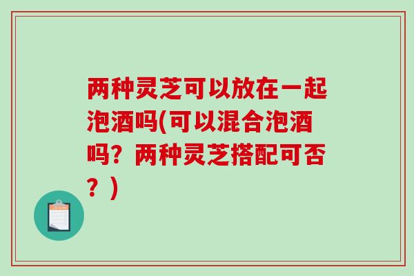 两种灵芝可以放在一起泡酒吗(可以混合泡酒吗?两种灵芝搭配可否?)-第1张图片-破壁灵芝孢子粉研究指南 两种灵芝可以放在一起泡酒吗(可以混合泡酒吗?两种灵芝搭配可否?)-第1张图片-破壁灵芝孢子粉研究指南