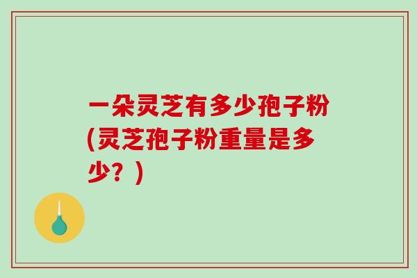 一朵灵芝有多少孢子粉(灵芝孢子粉重量是多少?)-第1张图片-破壁灵芝孢子粉研究指南 一朵灵芝有多少孢子粉(灵芝孢子粉重量是多少?)-第1张图片-破壁灵芝孢子粉研究指南