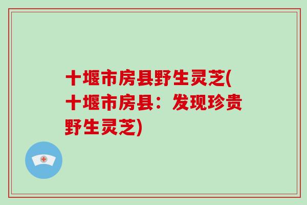 十堰市房县野生灵芝(十堰市房县：发现珍贵野生灵芝)-第1张图片-破壁灵芝孢子粉研究指南