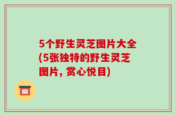 5个野生灵芝图片大全(5张独特的野生灵芝图片, 赏心悦目)-第1张图片-破壁灵芝孢子粉研究指南