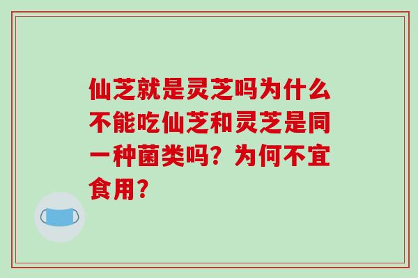 仙芝就是灵芝吗为什么不能吃仙芝和灵芝是同一种菌类吗?为何不宜食用?-第1张图片-破壁灵芝孢子粉研究指南 仙芝就是灵芝吗为什么不能吃仙芝和灵芝是同一种菌类吗?为何不宜食用?-第1张图片-破壁灵芝孢子粉研究指南