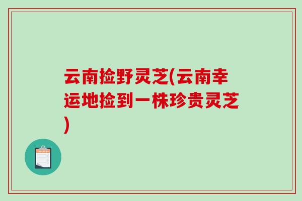 云南捡野灵芝(云南幸运地捡到一株珍贵灵芝)-第1张图片-破壁灵芝孢子粉研究指南