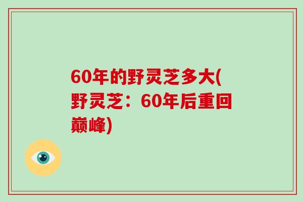 60年的野灵芝多大(野灵芝:60年后重回巅峰)-第1张图片-破壁灵芝孢子粉研究指南 60年的野灵芝多大(野灵芝:60年后重回巅峰)-第1张图片-破壁灵芝孢子粉研究指南