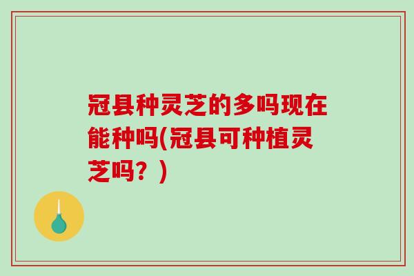 冠县种灵芝的多吗现在能种吗(冠县可种植灵芝吗？)-第1张图片-破壁灵芝孢子粉研究指南