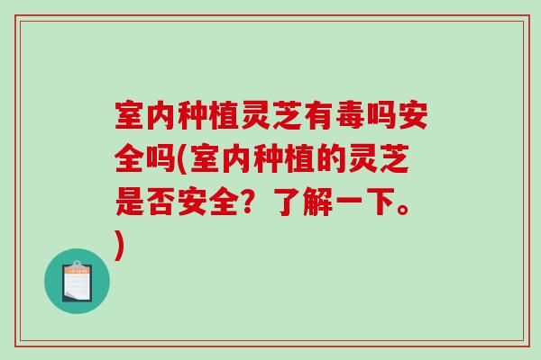 室内种植灵芝有毒吗安全吗(室内种植的灵芝是否安全?了解一下。)-第1张图片-破壁灵芝孢子粉研究指南 室内种植灵芝有毒吗安全吗(室内种植的灵芝是否安全?了解一下。)-第1张图片-破壁灵芝孢子粉研究指南