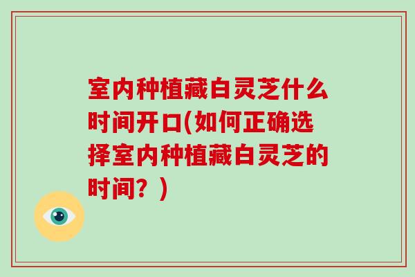 室内种植藏白灵芝什么时间开口(如何正确选择室内种植藏白灵芝的时间?)-第1张图片-破壁灵芝孢子粉研究指南 室内种植藏白灵芝什么时间开口(如何正确选择室内种植藏白灵芝的时间?)-第1张图片-破壁灵芝孢子粉研究指南