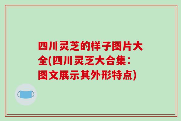 四川灵芝的样子图片大全(四川灵芝大合集:图文展示其外形特点)-第1张图片-破壁灵芝孢子粉研究指南 四川灵芝的样子图片大全(四川灵芝大合集:图文展示其外形特点)-第1张图片-破壁灵芝孢子粉研究指南