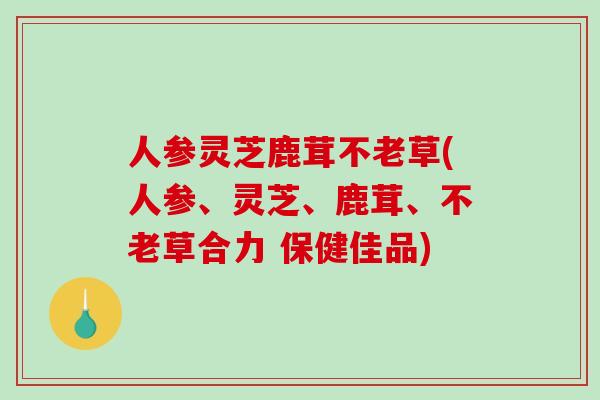 人参灵芝鹿茸不老草(人参、灵芝、鹿茸、不老草合力 保健佳品)-第1张图片-破壁灵芝孢子粉研究指南