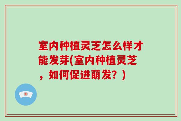 室内种植灵芝怎么样才能发芽(室内种植灵芝,如何促进萌发?)-第1张图片-破壁灵芝孢子粉研究指南 室内种植灵芝怎么样才能发芽(室内种植灵芝,如何促进萌发?)-第1张图片-破壁灵芝孢子粉研究指南