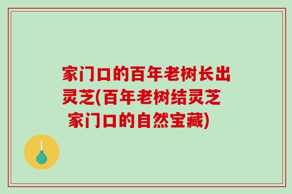 家门口的百年老树长出灵芝(百年老树结灵芝 家门口的自然宝藏)-第1张图片-破壁灵芝孢子粉研究指南 家门口的百年老树长出灵芝(百年老树结灵芝 家门口的自然宝藏)-第1张图片-破壁灵芝孢子粉研究指南