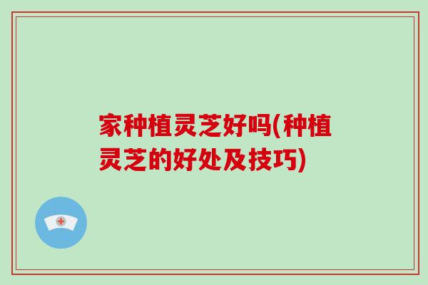 家种植灵芝好吗(种植灵芝的好处及技巧)-第1张图片-破壁灵芝孢子粉研究指南 家种植灵芝好吗(种植灵芝的好处及技巧)-第1张图片-破壁灵芝孢子粉研究指南