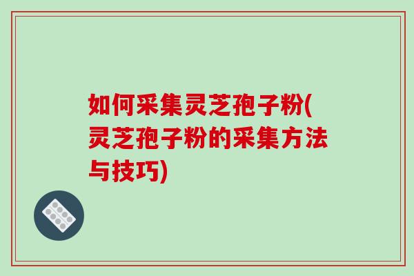 如何采集灵芝孢子粉(灵芝孢子粉的采集方法与技巧)-第1张图片-破壁灵芝孢子粉研究指南