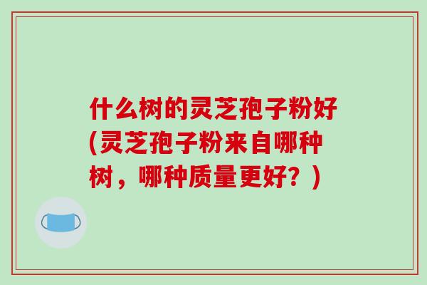 什么树的灵芝孢子粉好(灵芝孢子粉来自哪种树，哪种质量更好？)-第1张图片-破壁灵芝孢子粉研究指南
