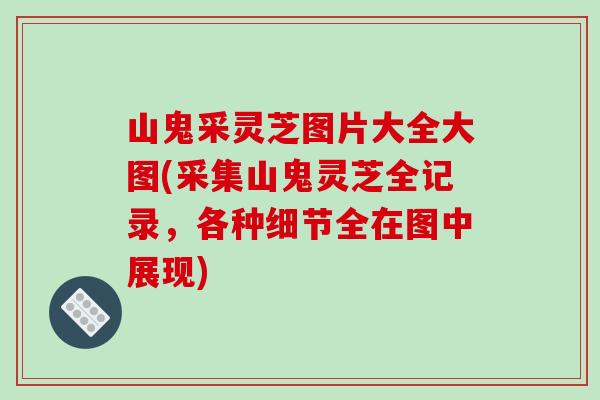 山鬼采灵芝图片大全大图(采集山鬼灵芝全记录，各种细节全在图中展现)-第1张图片-破壁灵芝孢子粉研究指南