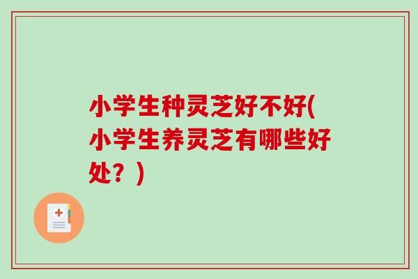 小学生种灵芝好不好(小学生养灵芝有哪些好处?)-第1张图片-破壁灵芝孢子粉研究指南 小学生种灵芝好不好(小学生养灵芝有哪些好处?)-第1张图片-破壁灵芝孢子粉研究指南