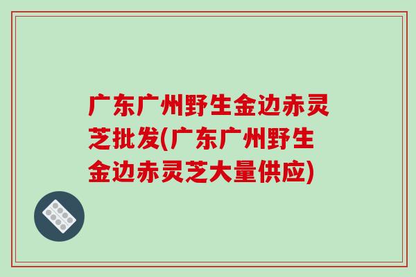 广东广州野生金边赤灵芝批发(广东广州野生金边赤灵芝大量供应)-第1张图片-破壁灵芝孢子粉研究指南 广东广州野生金边赤灵芝批发(广东广州野生金边赤灵芝大量供应)-第1张图片-破壁灵芝孢子粉研究指南