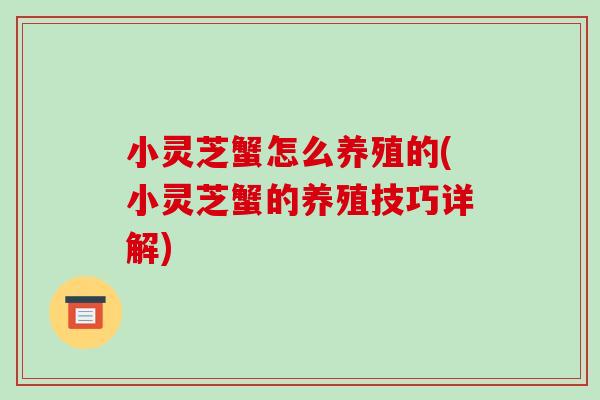 小灵芝蟹怎么养殖的(小灵芝蟹的养殖技巧详解)-第1张图片-破壁灵芝孢子粉研究指南 小灵芝蟹怎么养殖的(小灵芝蟹的养殖技巧详解)-第1张图片-破壁灵芝孢子粉研究指南