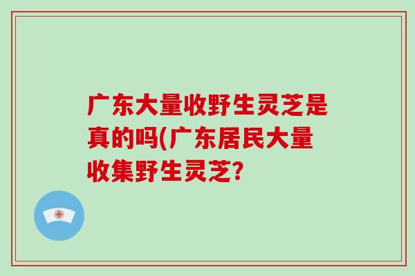 广东大量收野生灵芝是真的吗(广东居民大量收集野生灵芝？-第1张图片-破壁灵芝孢子粉研究指南