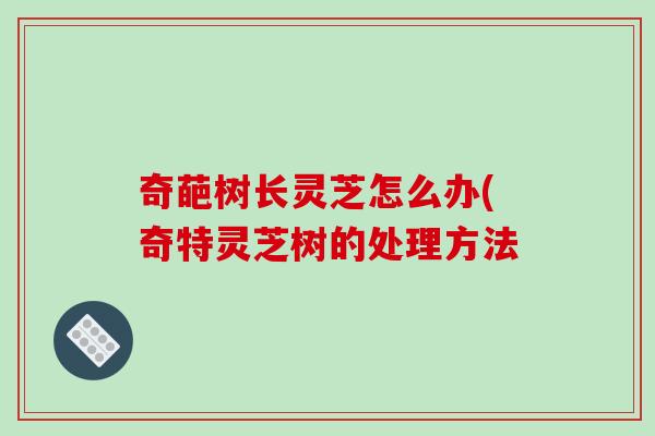 奇葩树长灵芝怎么办(奇特灵芝树的处理方法-第1张图片-破壁灵芝孢子粉研究指南 奇葩树长灵芝怎么办(奇特灵芝树的处理方法-第1张图片-破壁灵芝孢子粉研究指南
