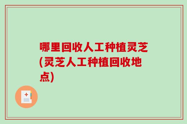 哪里回收人工种植灵芝(灵芝人工种植回收地点)-第1张图片-破壁灵芝孢子粉研究指南 哪里回收人工种植灵芝(灵芝人工种植回收地点)-第1张图片-破壁灵芝孢子粉研究指南