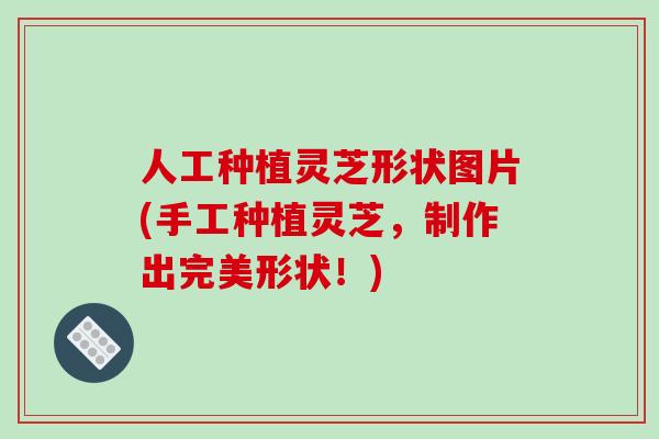 人工种植灵芝形状图片(手工种植灵芝,制作出完美形状!)-第1张图片-破壁灵芝孢子粉研究指南 人工种植灵芝形状图片(手工种植灵芝,制作出完美形状!)-第1张图片-破壁灵芝孢子粉研究指南