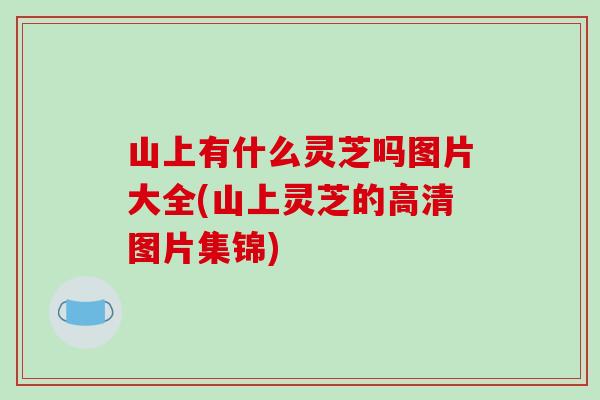 山上有什么灵芝吗图片大全(山上灵芝的高清图片集锦)-第1张图片-破壁灵芝孢子粉研究指南 山上有什么灵芝吗图片大全(山上灵芝的高清图片集锦)-第1张图片-破壁灵芝孢子粉研究指南