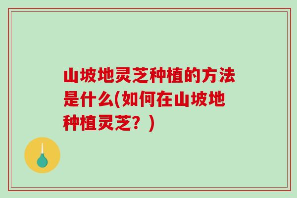 山坡地灵芝种植的方法是什么(如何在山坡地种植灵芝?)-第1张图片-破壁灵芝孢子粉研究指南 山坡地灵芝种植的方法是什么(如何在山坡地种植灵芝?)-第1张图片-破壁灵芝孢子粉研究指南