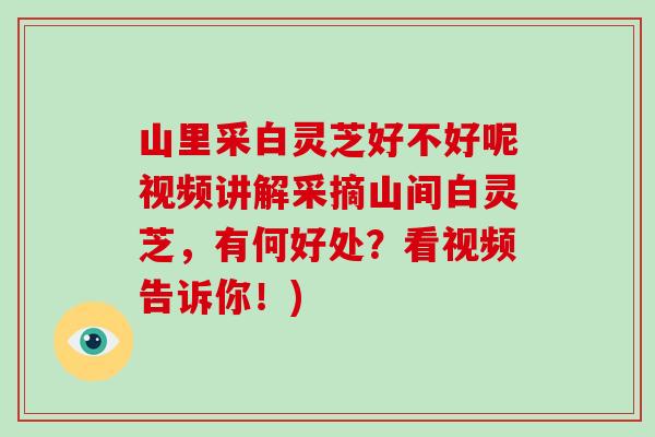山里采白灵芝好不好呢视频讲解采摘山间白灵芝,有何好处?看视频告诉你!)-第1张图片-破壁灵芝孢子粉研究指南 山里采白灵芝好不好呢视频讲解采摘山间白灵芝,有何好处?看视频告诉你!)-第1张图片-破壁灵芝孢子粉研究指南