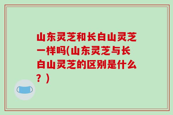 山东灵芝和长白山灵芝一样吗(山东灵芝与长白山灵芝的区别是什么?)-第1张图片-破壁灵芝孢子粉研究指南 山东灵芝和长白山灵芝一样吗(山东灵芝与长白山灵芝的区别是什么?)-第1张图片-破壁灵芝孢子粉研究指南