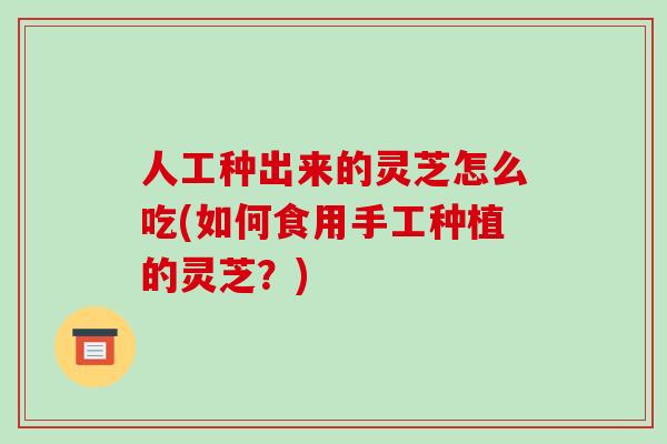 人工种出来的灵芝怎么吃(如何食用手工种植的灵芝？)-第1张图片-破壁灵芝孢子粉研究指南