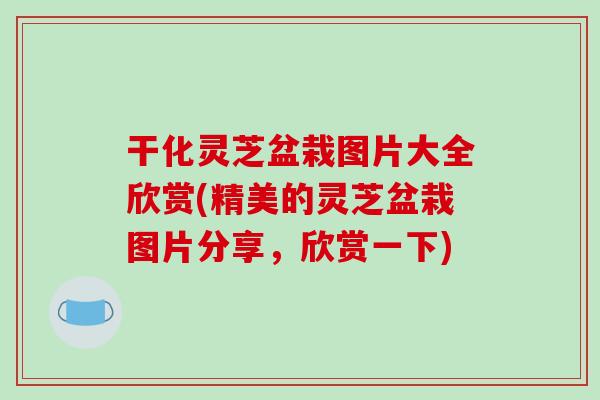 干化灵芝盆栽图片大全欣赏(精美的灵芝盆栽图片分享,欣赏一下)-第1张图片-破壁灵芝孢子粉研究指南 干化灵芝盆栽图片大全欣赏(精美的灵芝盆栽图片分享,欣赏一下)-第1张图片-破壁灵芝孢子粉研究指南