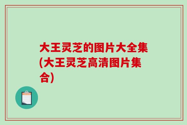 大王灵芝的图片大全集(大王灵芝高清图片集合)-第1张图片-破壁灵芝孢子粉研究指南 大王灵芝的图片大全集(大王灵芝高清图片集合)-第1张图片-破壁灵芝孢子粉研究指南