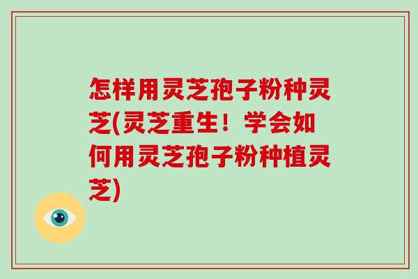 怎样用灵芝孢子粉种灵芝(灵芝重生!学会如何用灵芝孢子粉种植灵芝)-第1张图片-破壁灵芝孢子粉研究指南 怎样用灵芝孢子粉种灵芝(灵芝重生!学会如何用灵芝孢子粉种植灵芝)-第1张图片-破壁灵芝孢子粉研究指南
