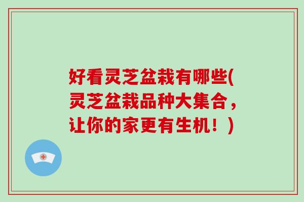 好看灵芝盆栽有哪些(灵芝盆栽品种大集合,让你的家更有生机!)-第1张图片-破壁灵芝孢子粉研究指南 好看灵芝盆栽有哪些(灵芝盆栽品种大集合,让你的家更有生机!)-第1张图片-破壁灵芝孢子粉研究指南