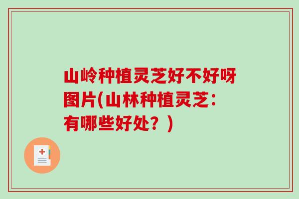 山岭种植灵芝好不好呀图片(山林种植灵芝:有哪些好处?)-第1张图片-破壁灵芝孢子粉研究指南 山岭种植灵芝好不好呀图片(山林种植灵芝:有哪些好处?)-第1张图片-破壁灵芝孢子粉研究指南