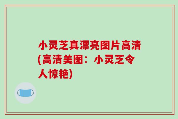 小灵芝真漂亮图片高清(高清美图：小灵芝令人惊艳)-第1张图片-破壁灵芝孢子粉研究指南