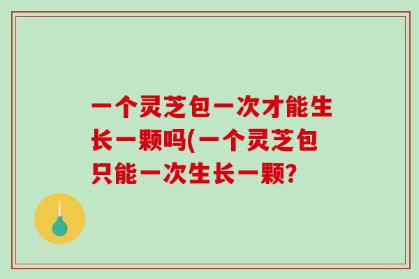 一个灵芝包一次才能生长一颗吗(一个灵芝包只能一次生长一颗？-第1张图片-破壁灵芝孢子粉研究指南