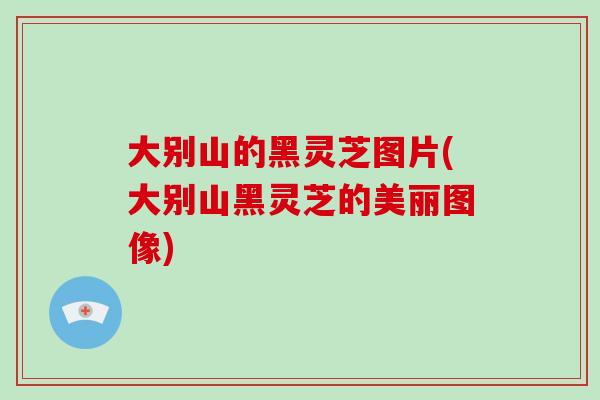 大别山的黑灵芝图片(大别山黑灵芝的美丽图像)-第1张图片-破壁灵芝孢子粉研究指南