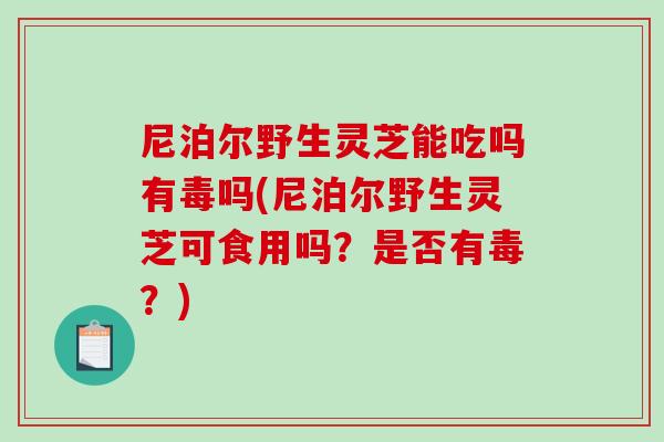 尼泊尔野生灵芝能吃吗有毒吗(尼泊尔野生灵芝可食用吗？是否有毒？)-第1张图片-破壁灵芝孢子粉研究指南