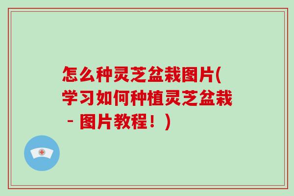 怎么种灵芝盆栽图片(学习如何种植灵芝盆栽 - 图片教程!)-第1张图片-破壁灵芝孢子粉研究指南 怎么种灵芝盆栽图片(学习如何种植灵芝盆栽 - 图片教程!)-第1张图片-破壁灵芝孢子粉研究指南