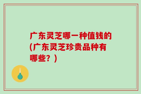 广东灵芝哪一种值钱的(广东灵芝珍贵品种有哪些？)-第1张图片-破壁灵芝孢子粉研究指南