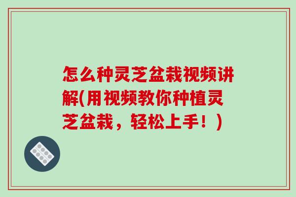 怎么种灵芝盆栽视频讲解(用视频教你种植灵芝盆栽,轻松上手!)-第1张图片-破壁灵芝孢子粉研究指南 怎么种灵芝盆栽视频讲解(用视频教你种植灵芝盆栽,轻松上手!)-第1张图片-破壁灵芝孢子粉研究指南