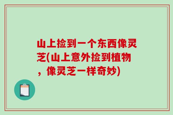 山上捡到一个东西像灵芝(山上意外捡到植物,像灵芝一样奇妙)-第1张图片-破壁灵芝孢子粉研究指南 山上捡到一个东西像灵芝(山上意外捡到植物,像灵芝一样奇妙)-第1张图片-破壁灵芝孢子粉研究指南