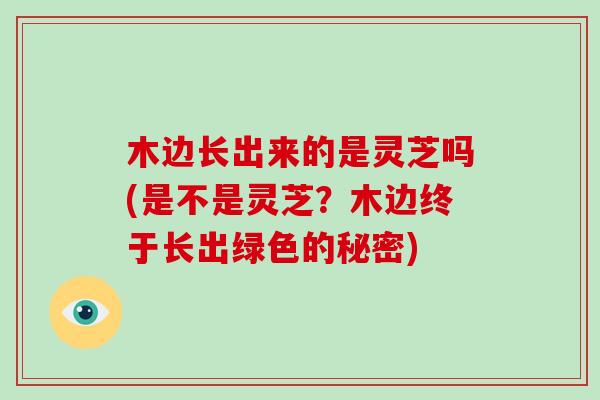木边长出来的是灵芝吗(是不是灵芝?木边终于长出绿色的秘密)-第1张图片-破壁灵芝孢子粉研究指南 木边长出来的是灵芝吗(是不是灵芝?木边终于长出绿色的秘密)-第1张图片-破壁灵芝孢子粉研究指南